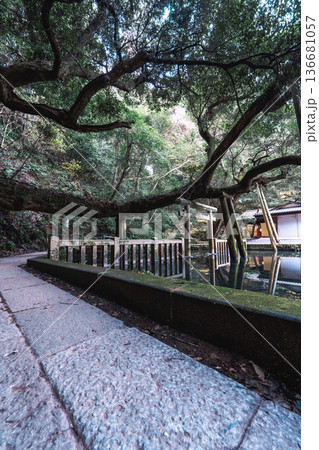 鹿島神宮 御手洗池と鳥居 136681057