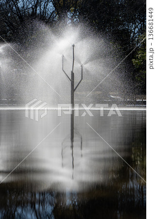 ふなばしアンデルセン公園 冬の噴水 136681449
