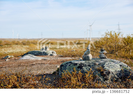 A field with windmills, turbine, extraction of clean electricity, colourful arctic carpet of moss, yagel, sunset, Tundra at autumn, tundra near the town of Teriberka in Russia, Murmansk region 136681752