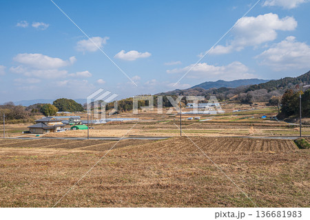 明日香村の田園風景 奈良県 明日香村の田園風景 奈良県 136681983