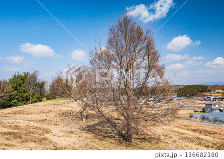 国営飛鳥歴史公園キトラ古墳周辺地区 奈良県明日香村 国営飛鳥歴史公園キトラ古墳周辺地区 奈良県明日香村 136682180
