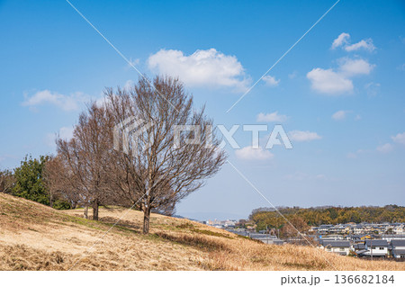 国営飛鳥歴史公園キトラ古墳周辺地区 奈良県明日香村 国営飛鳥歴史公園キトラ古墳周辺地区 奈良県明日香村 136682184