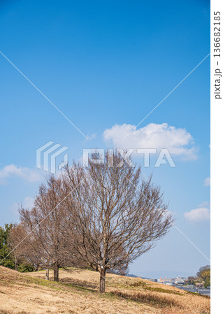 国営飛鳥歴史公園キトラ古墳周辺地区　奈良県明日香村 136682185