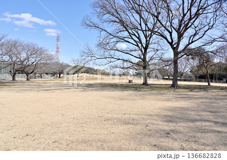 越谷散歩：県民健康福祉村　越谷市北越谷 136682828