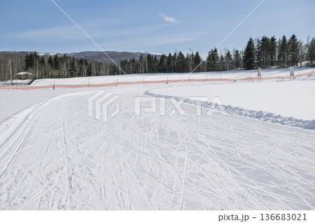 歩くスキーのコース 136683021