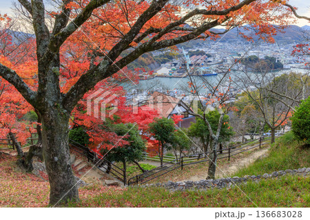 尾道・千光寺山から紅葉と尾道の港の風景を望む 尾道・千光寺山から紅葉と尾道の港の風景を望む 136683028