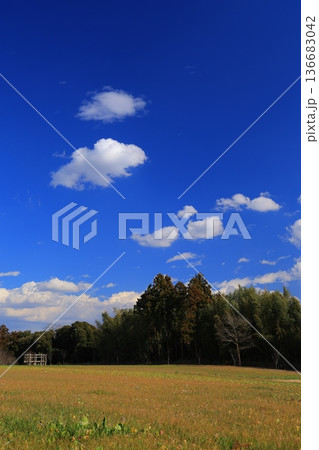 青空に浮かぶ雲 136683042