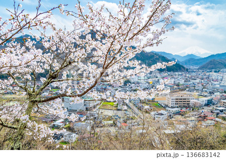 山梨 桜満開の岩殿山 山梨 桜満開の岩殿山 136683142