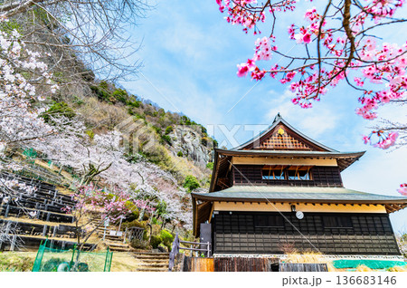 山梨 桜満開の岩殿山 136683146