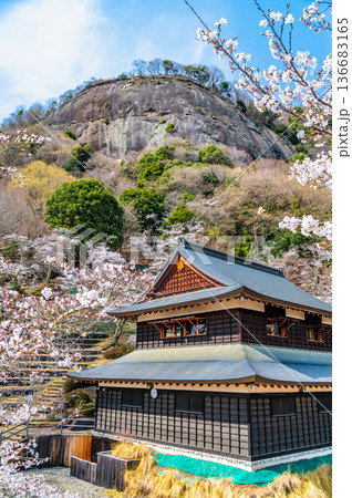 山梨 桜満開の岩殿山 136683165