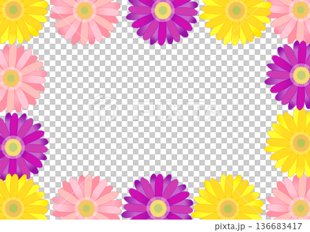 Colorful gerbera flower frame Colorful gerbera flower frame 136683417