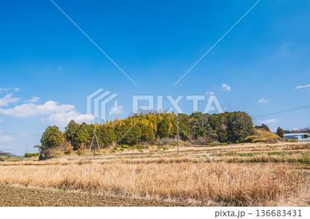 明日香村の田園風景 奈良県 明日香村の田園風景 奈良県 136683431