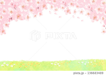 満開の桜の囲みフレーム　春イメージの装飾枠 136683489