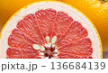 グレープフルーツ 136684139