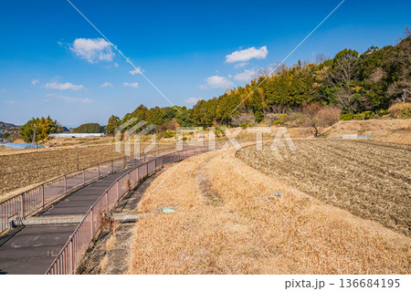 明日香村の田園風景　奈良県 136684195