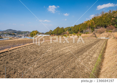 明日香村の田園風景　奈良県 136684197