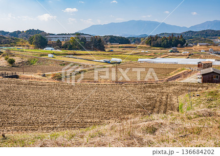 明日香村の田園風景 奈良県 明日香村の田園風景 奈良県 136684202