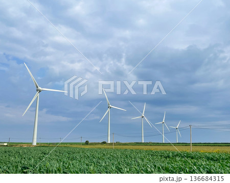 フランス最西端・コルセン岬の風力発電所 136684315