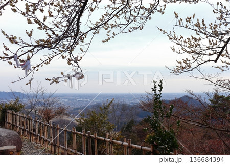 唐沢山(唐沢山神社)から見下ろす佐野の街並みと結ばれたおみくじ(栃木県佐野市) 唐沢山(唐沢山神社)から見下ろす佐野の街並みと結ばれたおみくじ(栃木県佐野市) 136684394