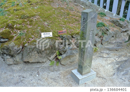 栃木百名山の唐沢山(神社)の石標(栃木県佐野市) 栃木百名山の唐沢山(神社)の石標(栃木県佐野市) 136684401