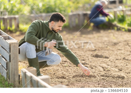 Man is planting seeds in open ground Man is planting seeds in open ground 136684510