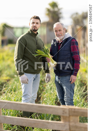 Portrait of two farmers with a harvest of green onions in field Portrait of two farmers with a harvest of green onions in field 136684567