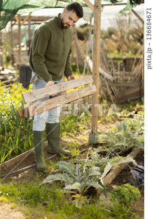 Young man building fence in garden 136684671