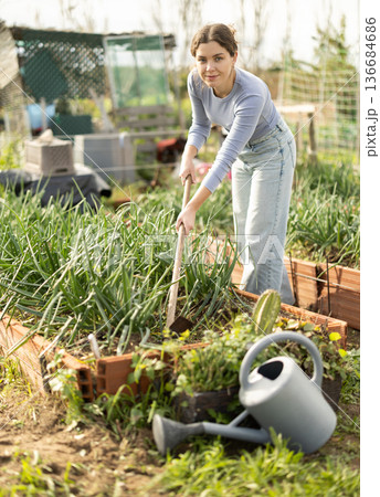Young woman weeding onions in garden Young woman weeding onions in garden 136684686