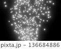 舞い上がるたくさんの白い粒子 136684886
