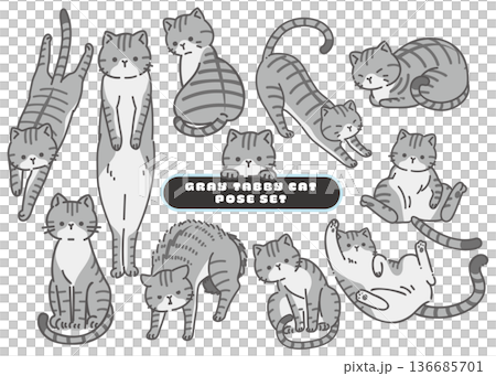 A set of 11 cute poses and facial expressions of tabby cats A set of 11 cute poses and facial expressions of tabby cats 136685701