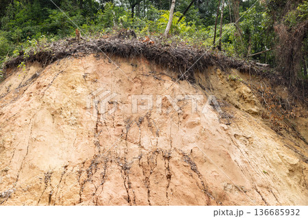 After heavy rain landslides are several occur in steep  from mountain. 136685932