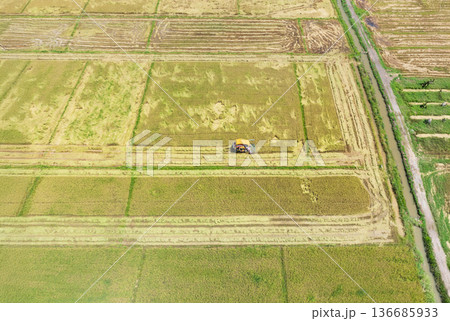 Combine harvesters working in golden rice paddy field ,Thailand. Combine harvesters working in golden rice paddy field ,Thailand. 136685933