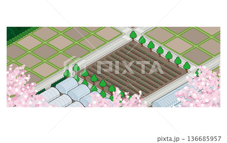 田園風景のイラスト. アイソメ図で描いた都市. 田園風景のイラスト. アイソメ図で描いた都市. 136685957
