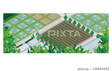 田園風景のイラスト. アイソメ図で描いた都市. 田園風景のイラスト. アイソメ図で描いた都市. 136685958