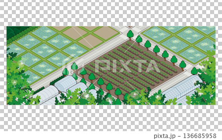 鄉村景觀插圖。等距城市。 136685958