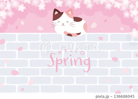 桜の花と煉瓦の壁の上で眠る猫の背景イラスト 桜の花と煉瓦の壁の上で眠る猫の背景イラスト 136686045