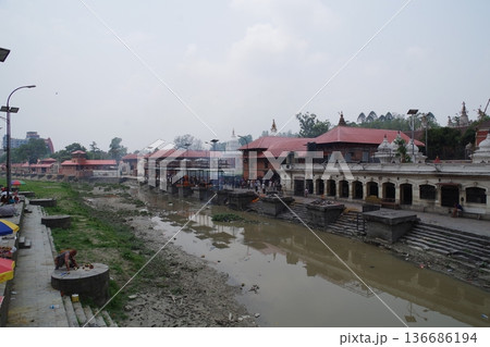 ネパール　世界遺産カトマンズ盆地　パシュパティナート 136686194