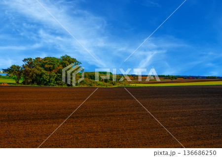 田園風景 田園風景 136686250