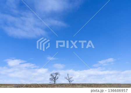 冬空と雲と草原 136686957