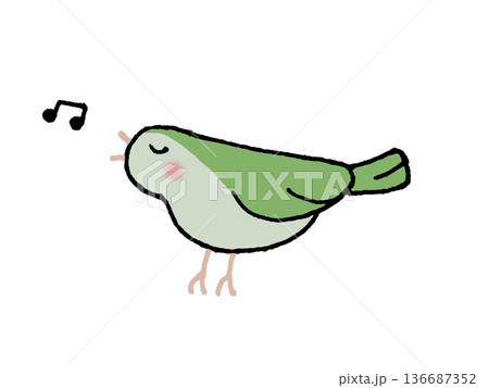 ウグイスのイラスト ウグイスのイラスト 136687352