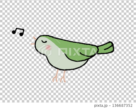 ウグイスのイラスト ウグイスのイラスト 136687352