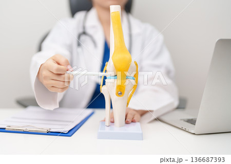 Doctor with Human Knee joint anatomy model. Osteoarthritis, Patellofemoral Pain Syndrome, Patellar Tendinitis, ACL, Anterior Cruciate Ligament, PCL, Posterior, MCL, Medial Collateral, LCL and Lateral Doctor with Human Knee joint anatomy model. Osteoarthritis, Patellofemoral Pain Syndrome, Patellar Tendinitis, ACL, Anterior Cruciate Ligament, PCL, Posterior, MCL, Medial Collateral, LCL and Lateral 136687393