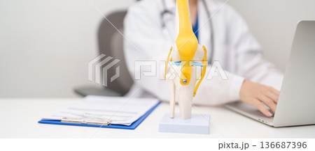 Doctor with Human Knee joint anatomy model. Osteoarthritis, Patellofemoral Pain Syndrome, Patellar Tendinitis, ACL, Anterior Cruciate Ligament, PCL, Posterior, MCL, Medial Collateral, LCL and Lateral 136687396