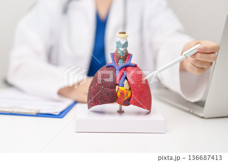 Doctor with Smoker and normal Lung anatomy for Disease. Lung Cancer, Asthma, Chronic Obstructive Pulmonary or COPD, Bronchitis, Emphysema, Cystic Fibrosis, Bronchiectasis, Pneumonia and world Lung day Doctor with Smoker and normal Lung anatomy for Disease. Lung Cancer, Asthma, Chronic Obstructive Pulmonary or COPD, Bronchitis, Emphysema, Cystic Fibrosis, Bronchiectasis, Pneumonia and world Lung day 136687413