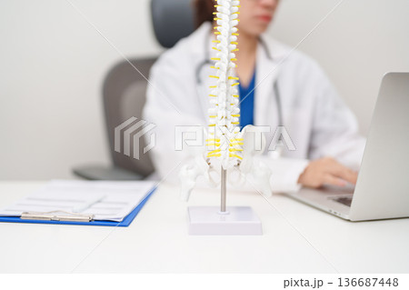 Doctor with human Spine anatomy model. Spinal Cord Disorder and disease, Back pain, Lumbar, Sacral pelvis, Cervical neck, Thoracic, Coccyx, Orthopedist, chiropractic, Office Syndrome and health Doctor with human Spine anatomy model. Spinal Cord Disorder and disease, Back pain, Lumbar, Sacral pelvis, Cervical neck, Thoracic, Coccyx, Orthopedist, chiropractic, Office Syndrome and health 136687448