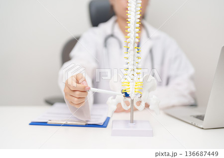 Doctor with human Spine anatomy model. Spinal Cord Disorder and disease, Back pain, Lumbar, Sacral pelvis, Cervical neck, Thoracic, Coccyx, Orthopedist, chiropractic, Office Syndrome and health 136687449