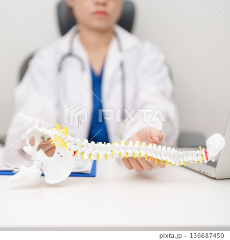 Doctor with human Spine anatomy model. Spinal Cord Disorder and disease, Back pain, Lumbar, Sacral pelvis, Cervical neck, Thoracic, Coccyx, Orthopedist, chiropractic, Office Syndrome and health 136687450