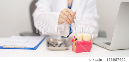 Dentist with tooth Anatomy model. Oral Teeth decay and disease, Scrape off tartar. March Oral health, Dentist Day, False Teeth. Toothache and Children Dental Health Month and Orthodontic Health Day Dentist with tooth Anatomy model. Oral Teeth decay and disease, Scrape off tartar. March Oral health, Dentist Day, False Teeth. Toothache and Children Dental Health Month and Orthodontic Health Day 136687462
