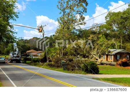 Cleanup efforts after tree falls on house in residential area 136687600