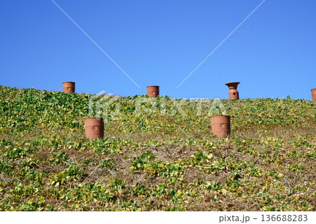 9334　将軍山古墳 136688283